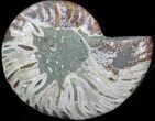 Agatized Ammonite Fossil (Half) #39617-1